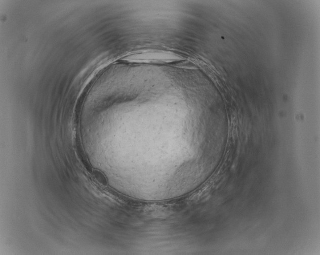 X0000074260290200609151808