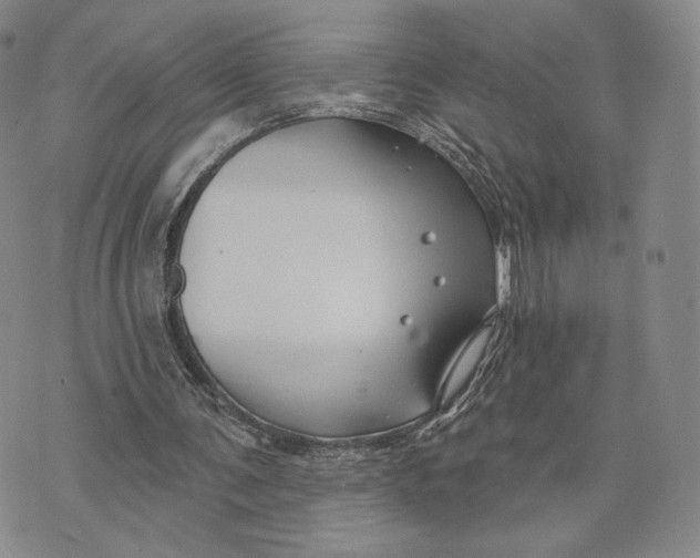 X0000074260291200609151808