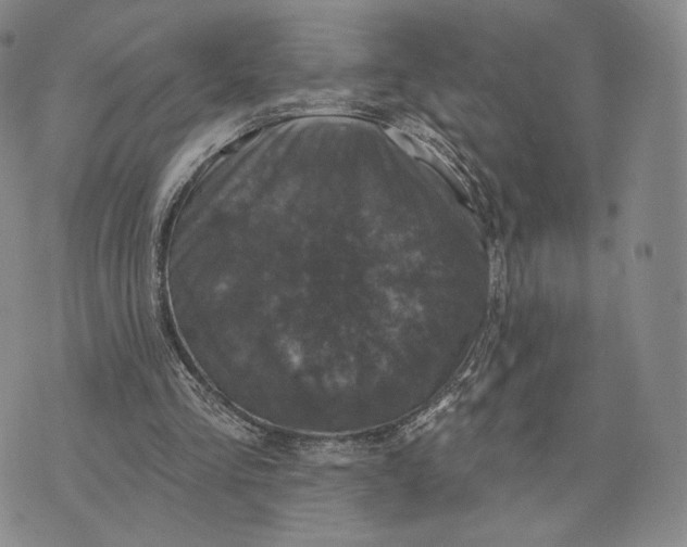 X0000074260293200609151808