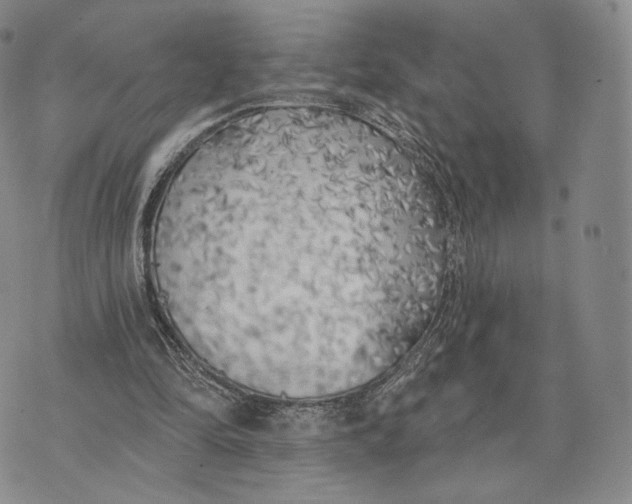 X0000074260294200609151808