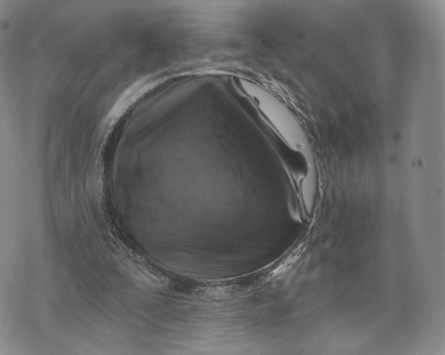 X0000074260295200609151808