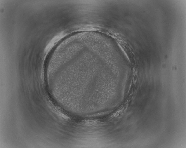 X0000074260296200609151808