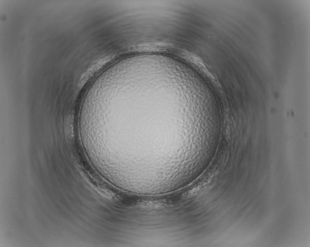 X0000074260299200609151808