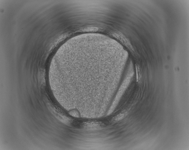 X0000074260300200609151808