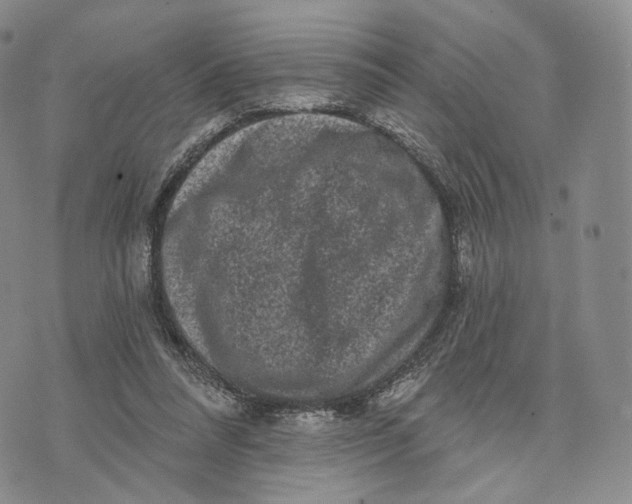 X0000074260304200609151808