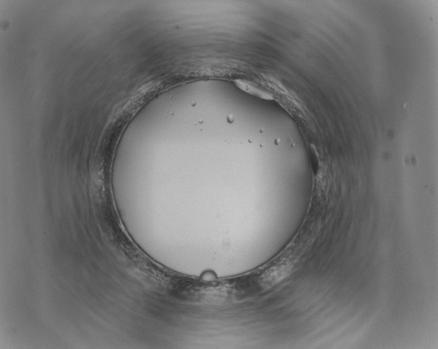 X0000074260306200609151808