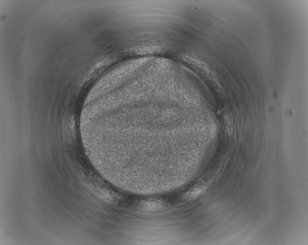 X0000074260308200609151808