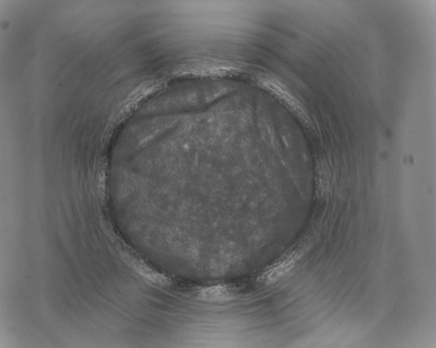 X0000074260309200609151808