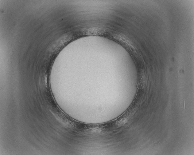 X0000074260310200609151808