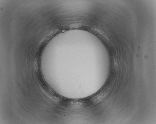 X0000074260311200609151808