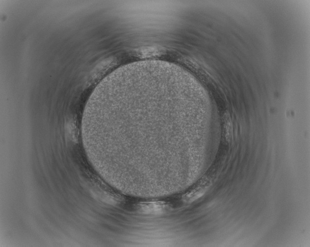 X0000074260316200609151808