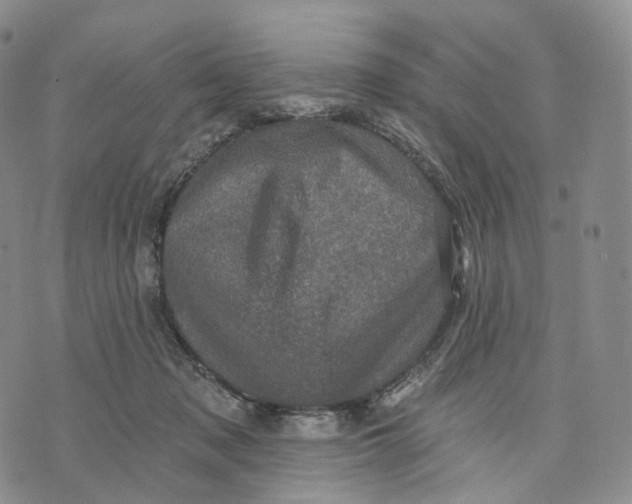 X0000074260317200609151808