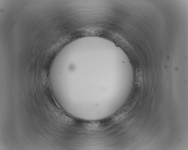 X0000074260318200609151808