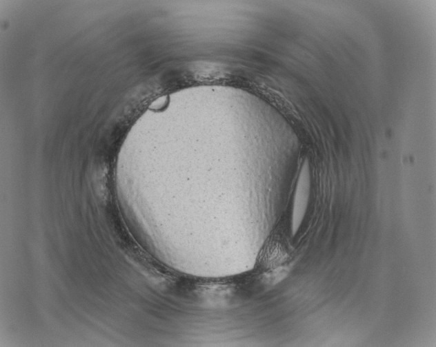 X0000074260319200609151808