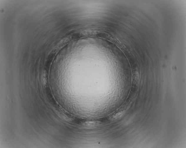 X0000074260323200609151808