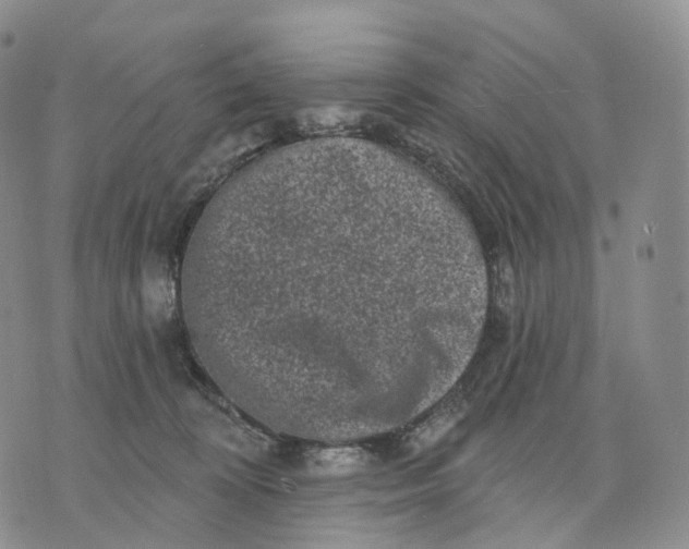 X0000074260324200609151808