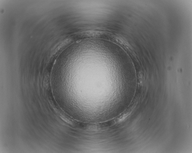 X0000074260325200609151808