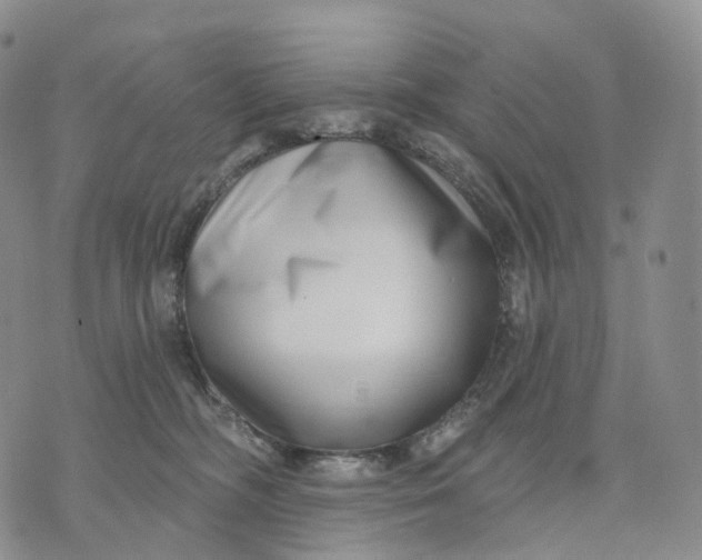 X0000074260326200609151808