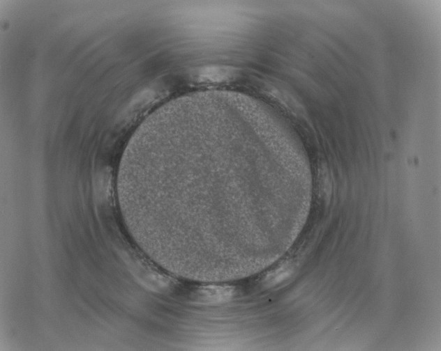 X0000074260328200609151807