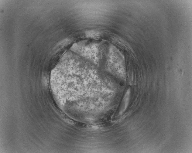 X0000074260329200609151807