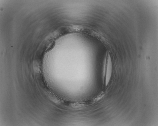 X0000074260331200609151807