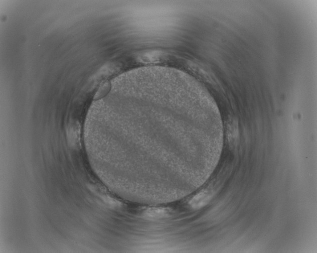 X0000074260332200609151807