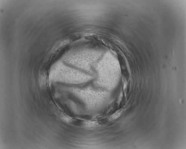 X0000074260333200609151807