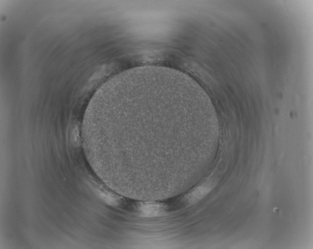 X0000074260336200609151807