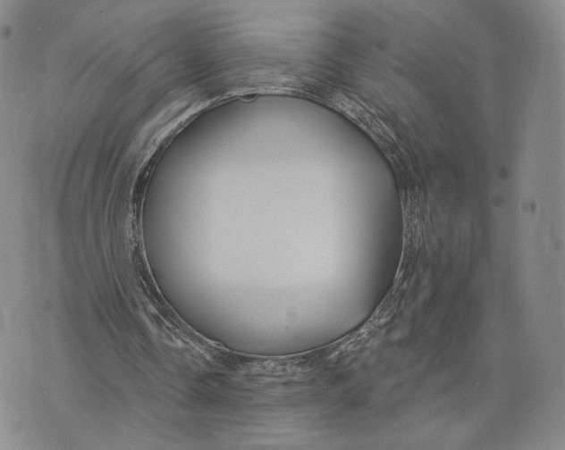 X0000074260338200609151807