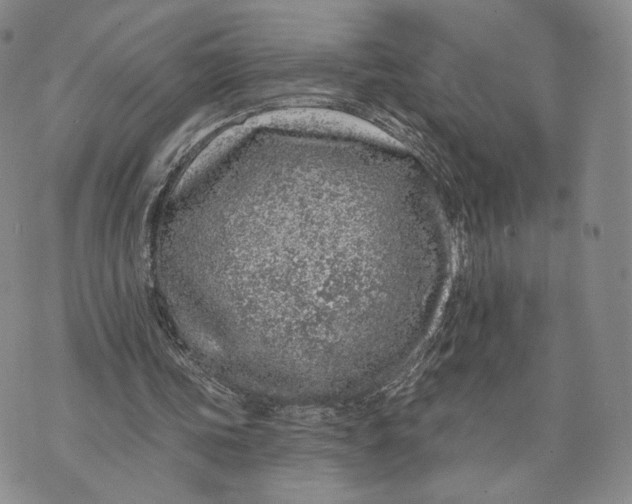 X0000074260339200609151807