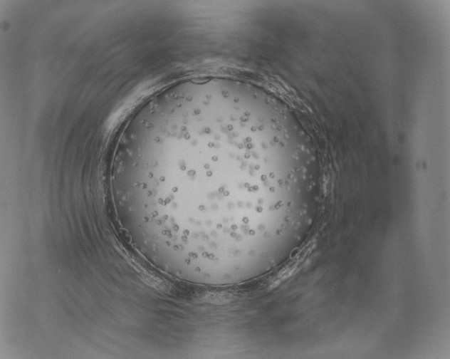 X0000074260341200609151807