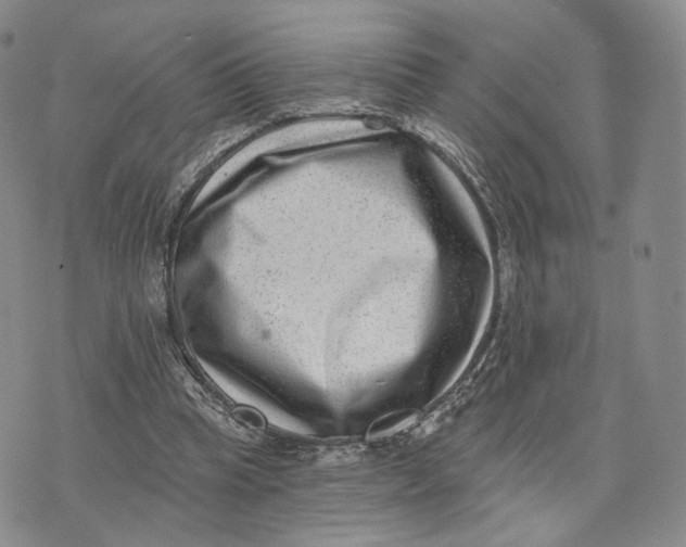 X0000074260345200609151807