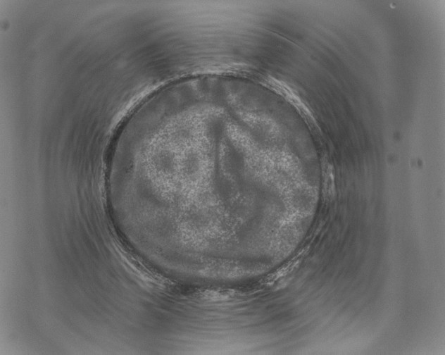 X0000074260346200609151807