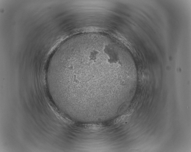 X0000074260347200609151807