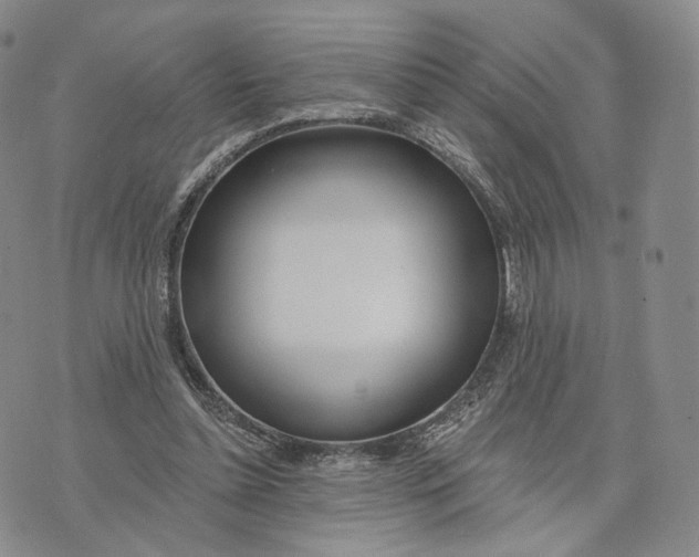 X0000074260348200609151807