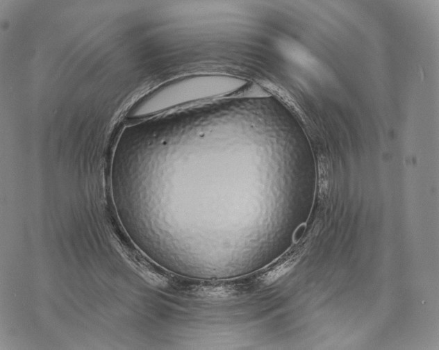 X0000074260349200609151807