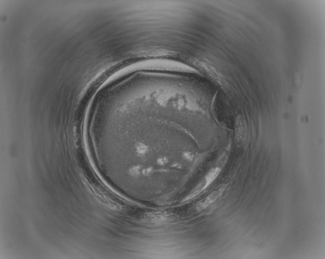 X0000074260351200609151807