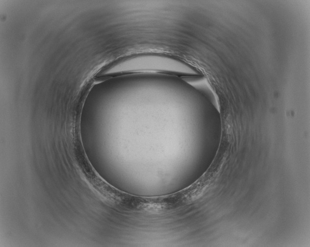 X0000074260352200609151807