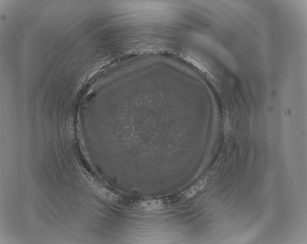 X0000074260353200609151807