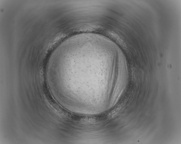 X0000074260354200609151807