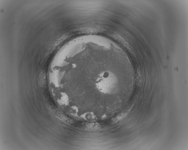 X0000074260355200609151807