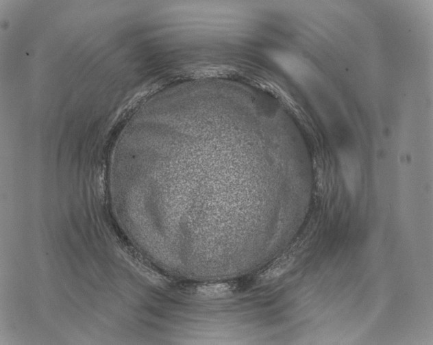 X0000074260357200609151807