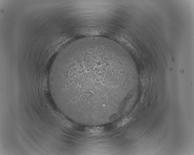 X0000074260359200609151807