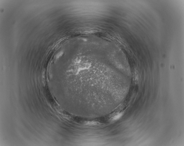 X0000074260360200609151807