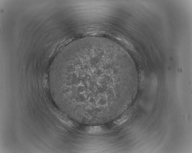 X0000074260361200609151807