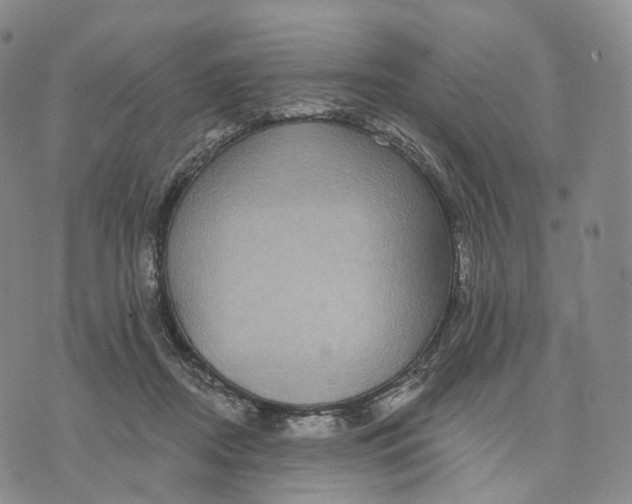 X0000074260362200609151807