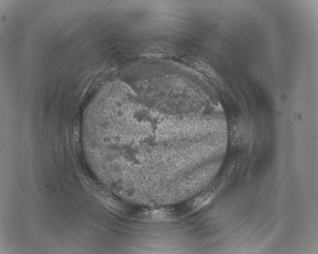 X0000074260365200609151807