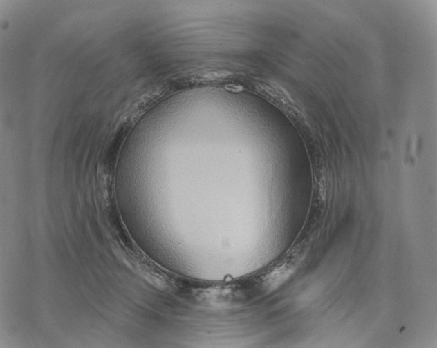 X0000074260366200609151807