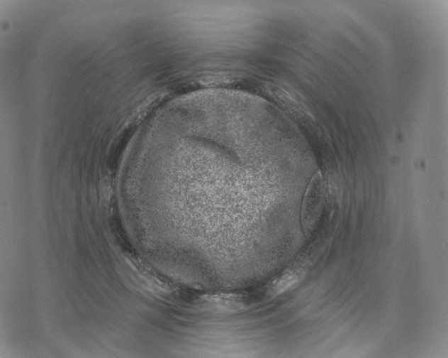 X0000074260367200609151807