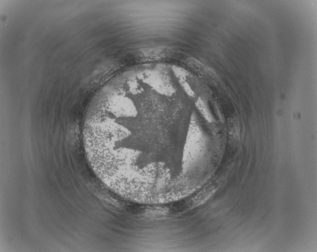 X0000074260369200609151807